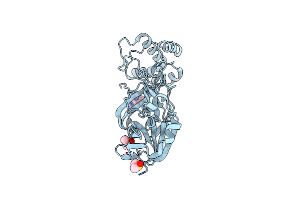 5RFA image