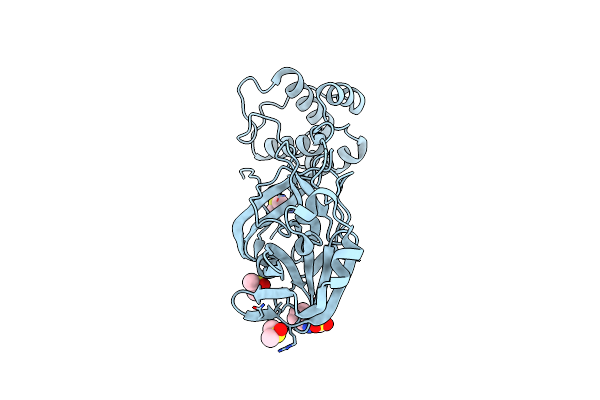 5RFD image