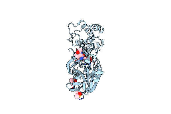5RG1 image