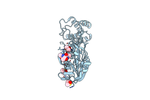 5RG2 image