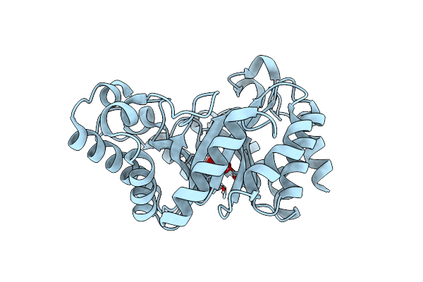 5RG8 image
