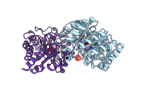 5RGF image