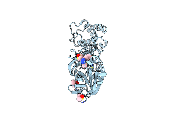 5RGH image