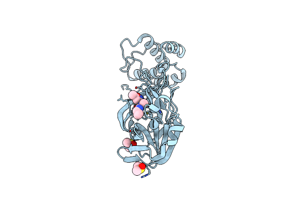 5RGI image