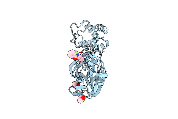 5RGK image