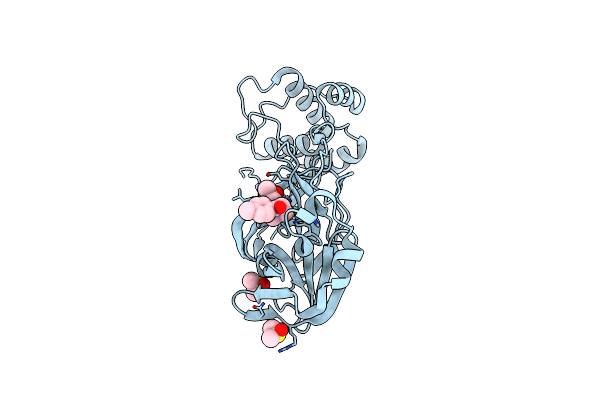 5RGL image