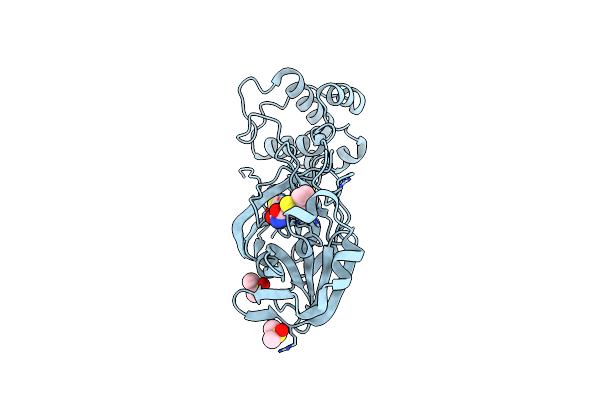 5RGM image