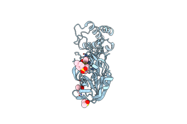 5RGN image