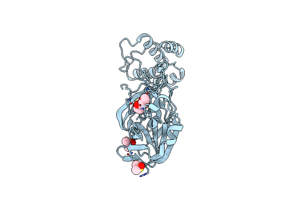 5RGO image
