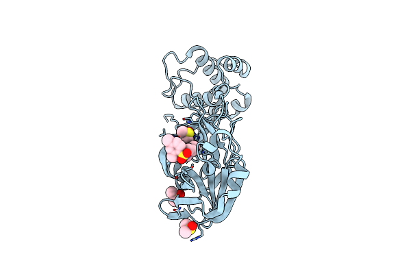 5RGP image