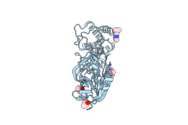 5RGR image