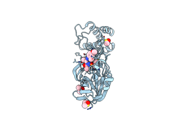 5RH5 image