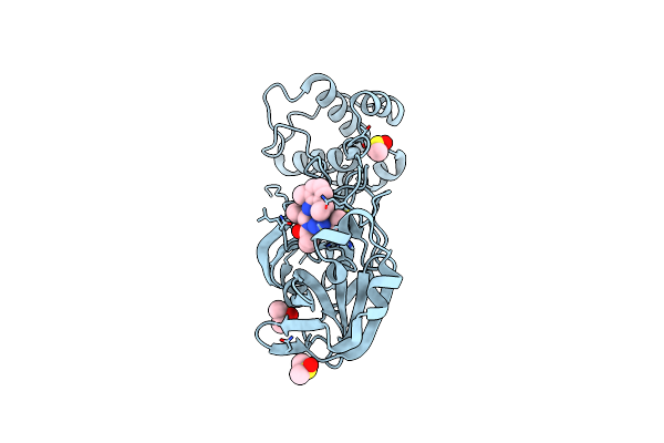 5RH7 image