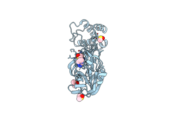 5RHB image