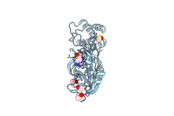 5RHC image