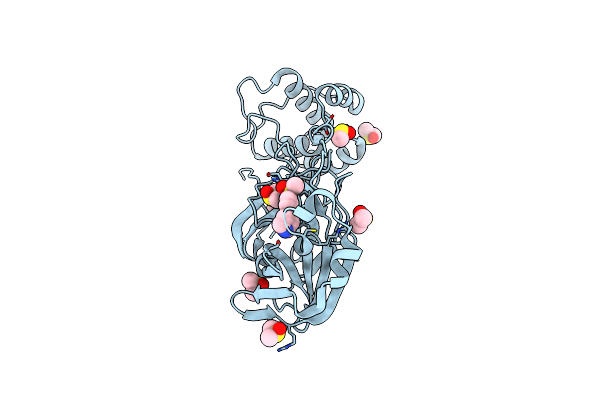 5RHD image