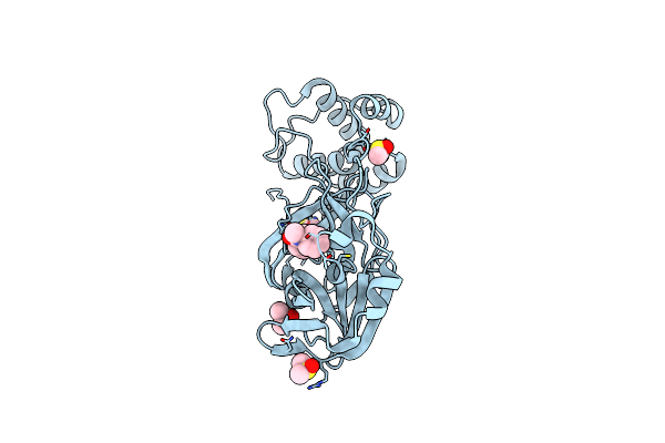 5RHF image