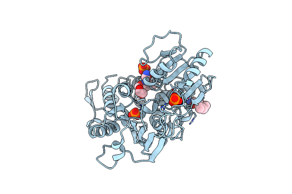 5RHG image