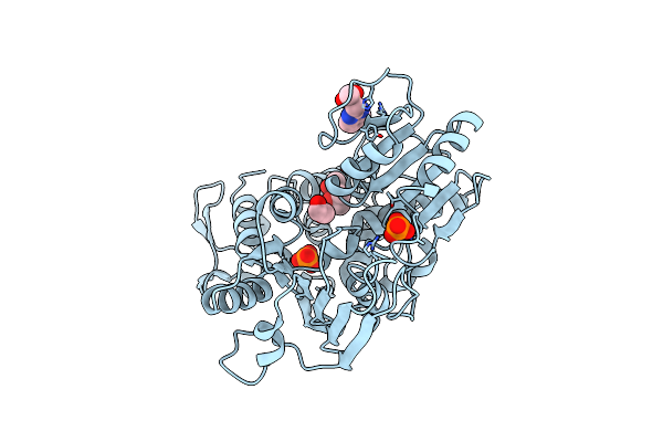 5RHJ image