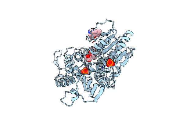 5RHL image
