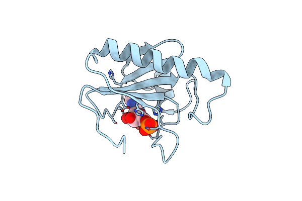 5RHN image