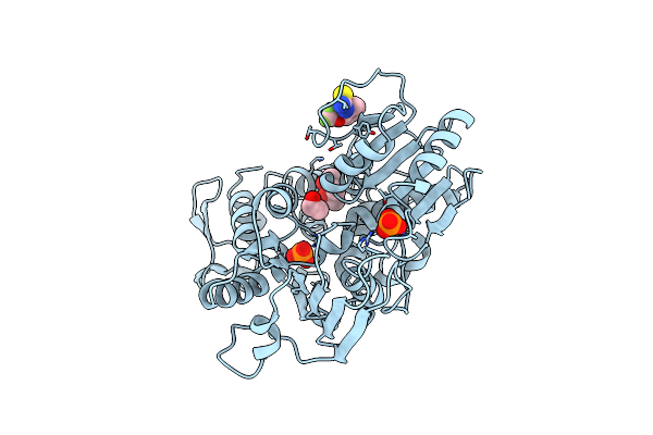 5RHT image