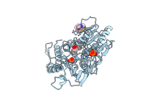5RHW image