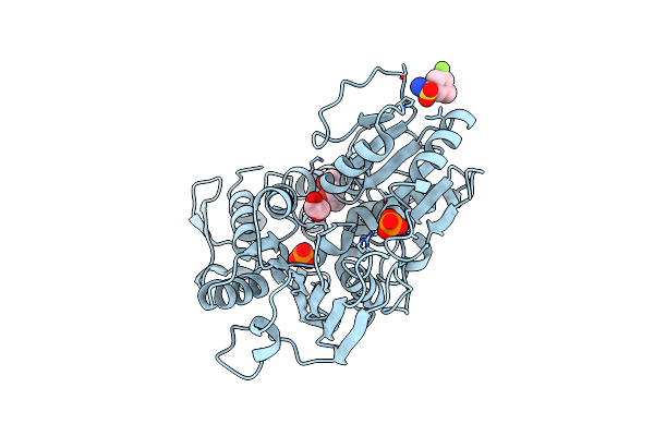 5RHX image