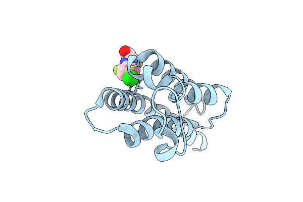 5RKR image