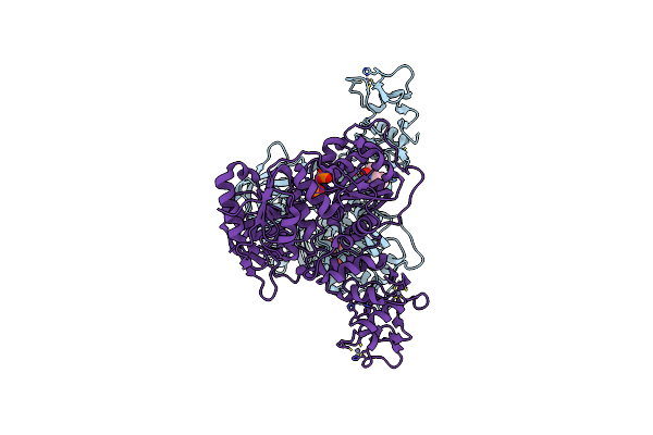 5RLB image