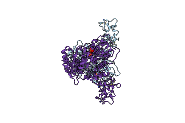 5RLF image