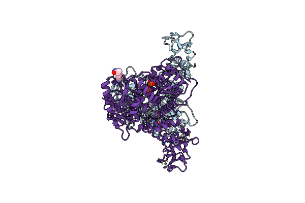 5RLG image