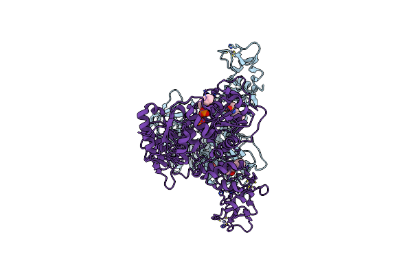 5RLI image
