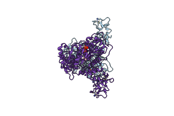 5RLK image