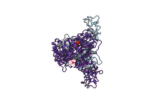 5RLL image