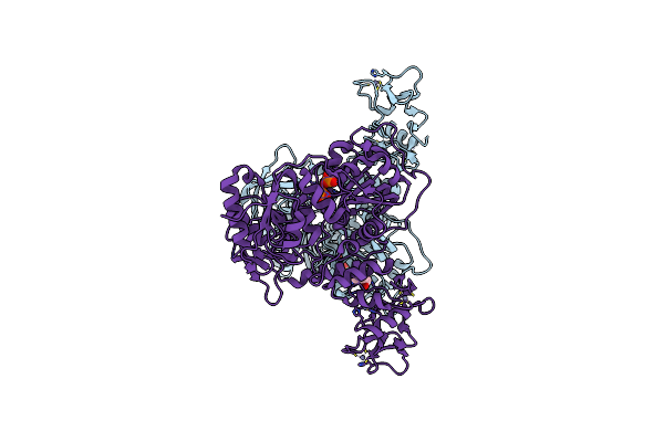 5RLM image