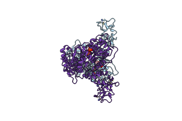 5RMC image