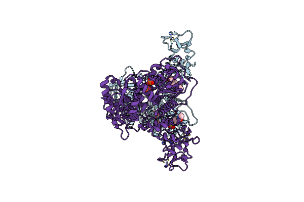 5RMD image
