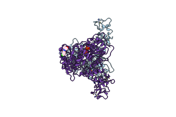 5RMJ image