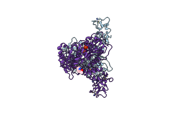 5RMK image