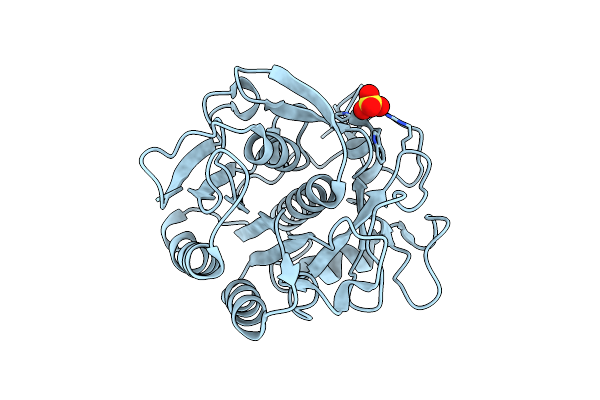 5ROD image
