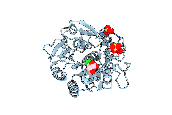 5ROP image