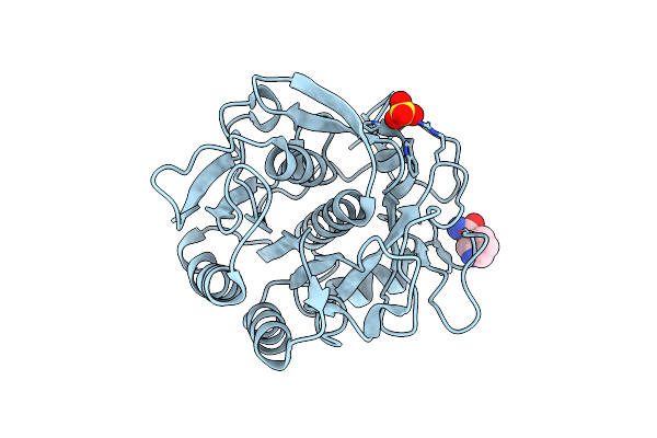 5ROR image