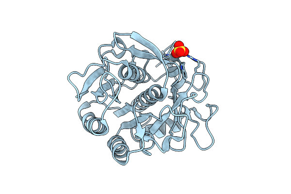 5ROU image