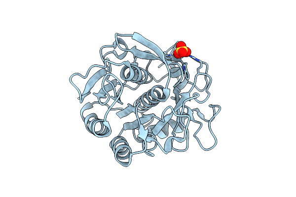 5ROV image