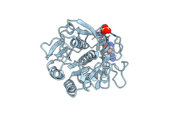 5RPD image