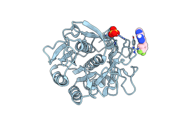 5RPH image