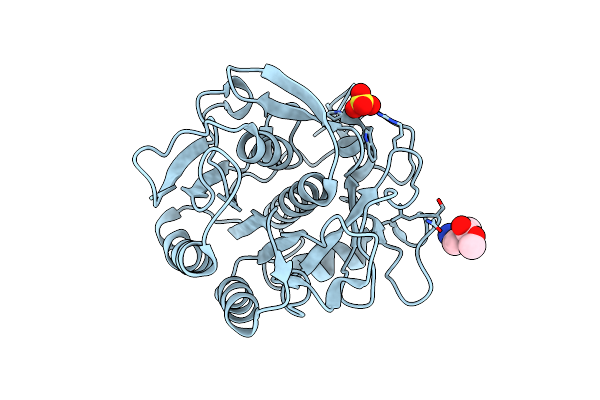 5RPL image