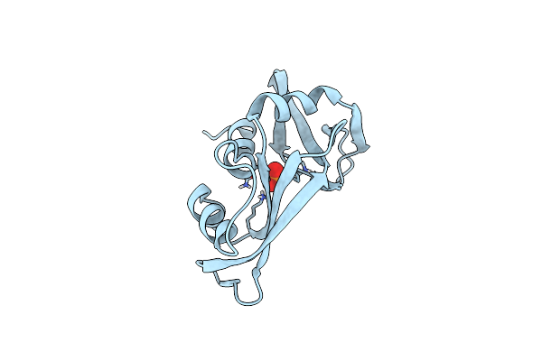 5RSA image