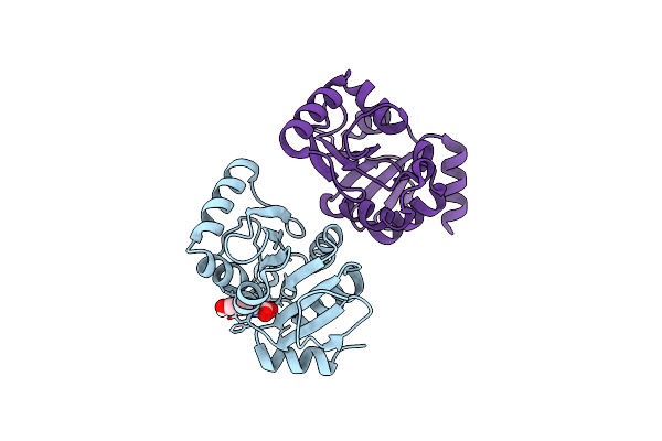 5RTB image